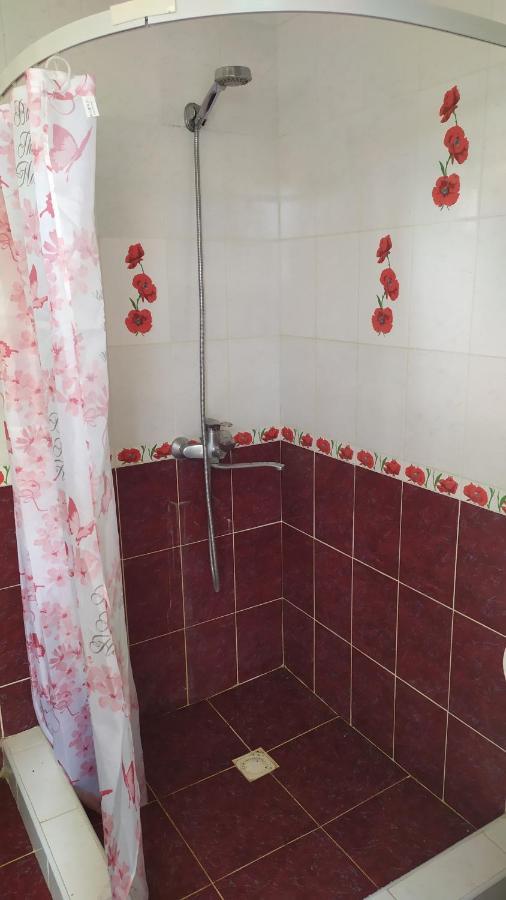 Guesthouse Mira 加格拉 外观 照片