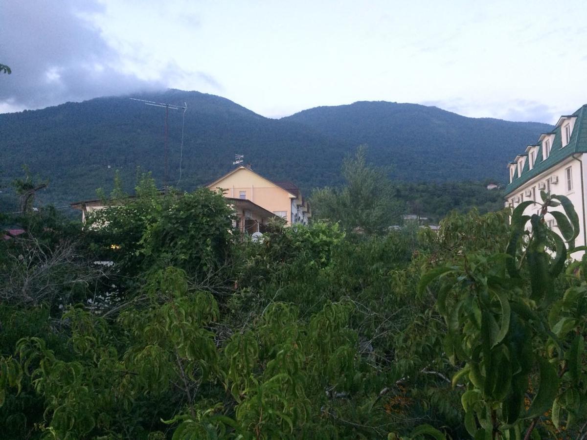 Guesthouse Mira 加格拉 外观 照片