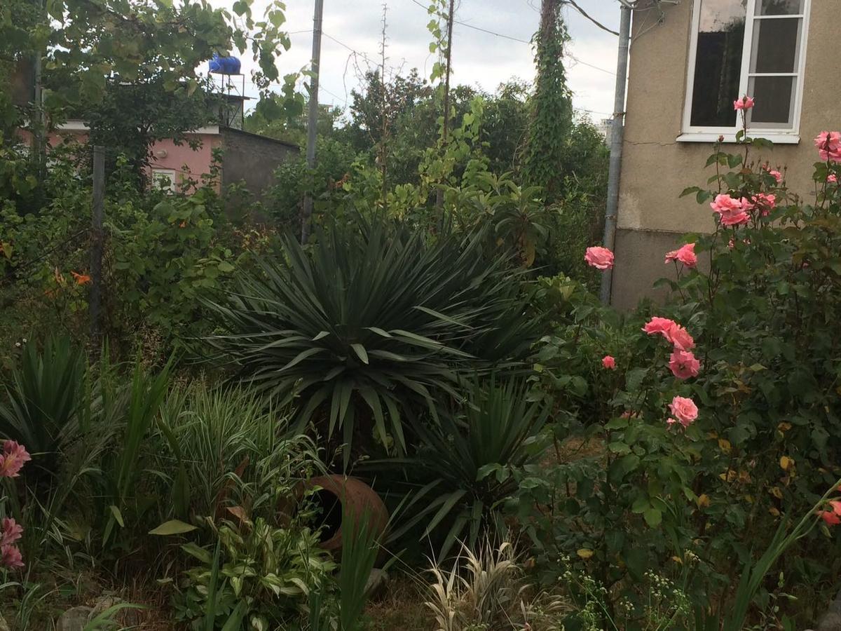 Guesthouse Mira 加格拉 外观 照片