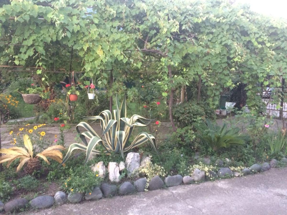 Guesthouse Mira 加格拉 外观 照片