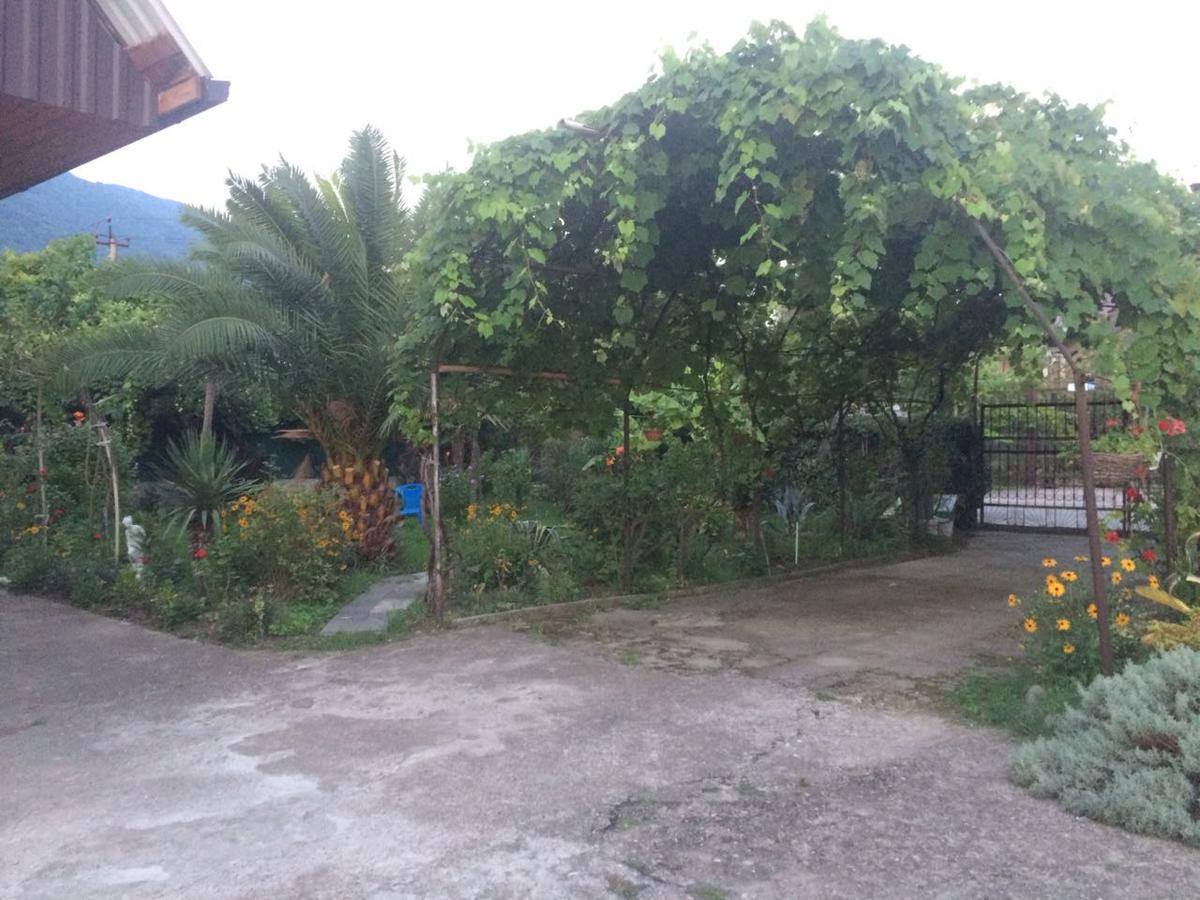 Guesthouse Mira 加格拉 外观 照片