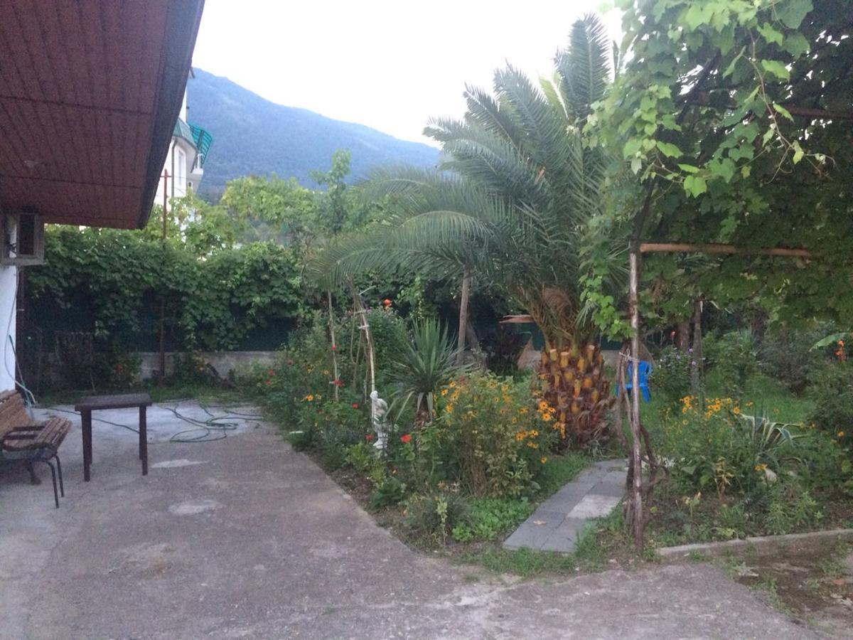 Guesthouse Mira 加格拉 外观 照片