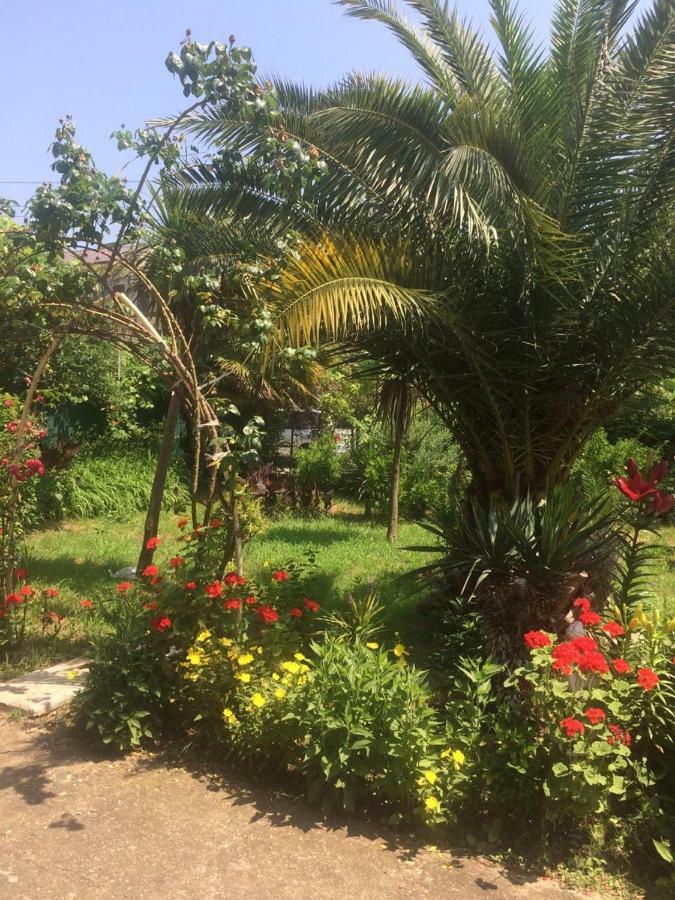 Guesthouse Mira 加格拉 外观 照片