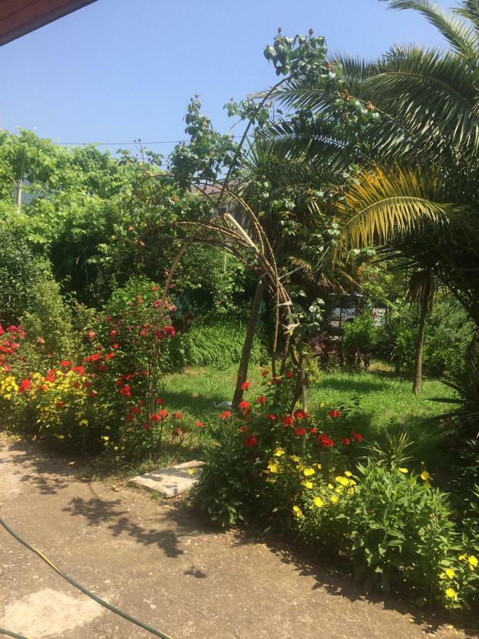 Guesthouse Mira 加格拉 外观 照片